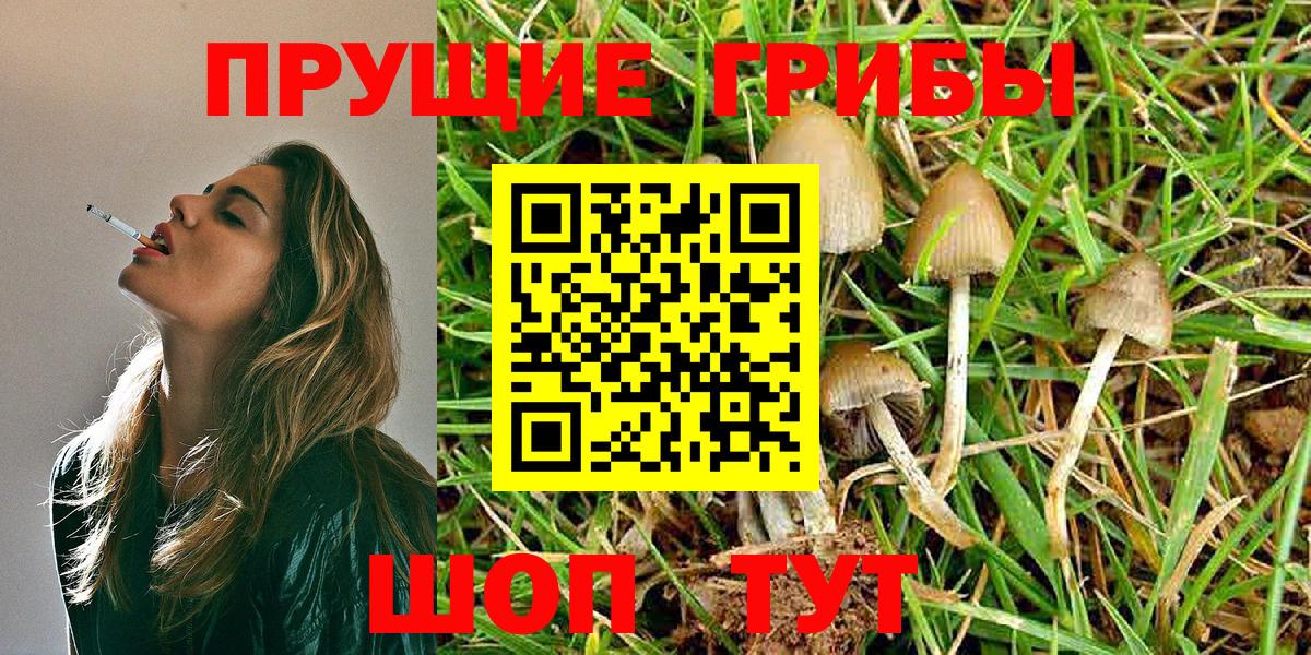 Галлюциногенные грибы Cubensis Санкт-Петербург